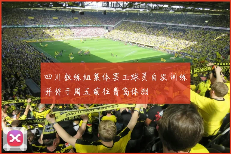 四川教练组集体罢工球员自发训练并将于周五前往青岛体测